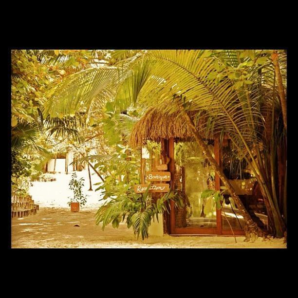 Casa Violeta Hotel Тулум Екстериор снимка